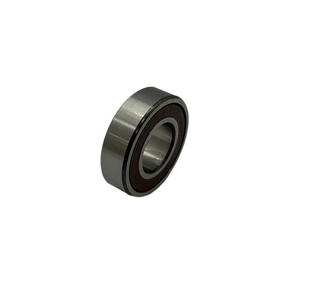 NSK 6004 DDUCM RULMAN (2RS)
