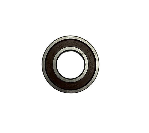 NSK 6004 DDUCM RULMAN (2RS)