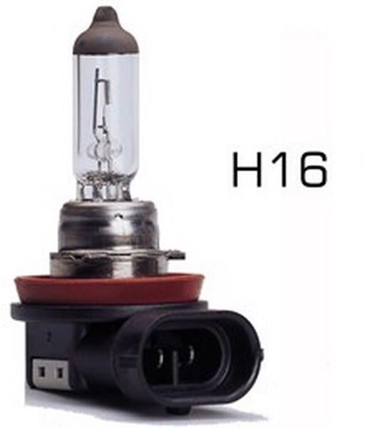 12V H16 AMPUL 19W