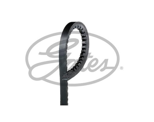 GATES V KAYIŞI 10 X 875 AVX