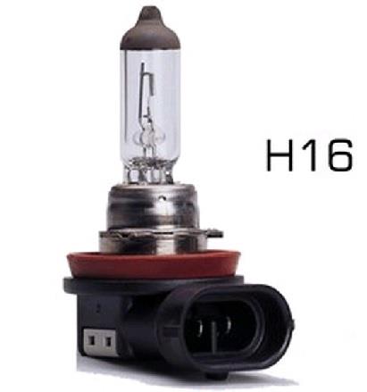12V H16 AMPUL 19W