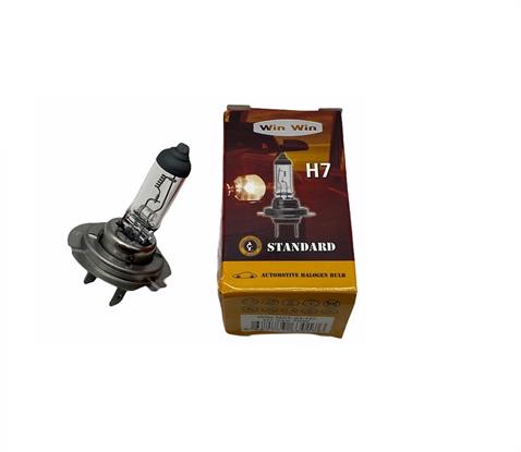 24V H7 AMPUL 70W