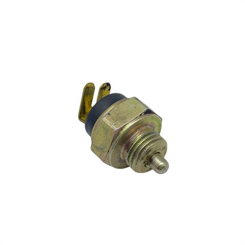 GERİ VİTES MÜŞÜRÜ (M14 X 1.5) PEUGEOT J9
