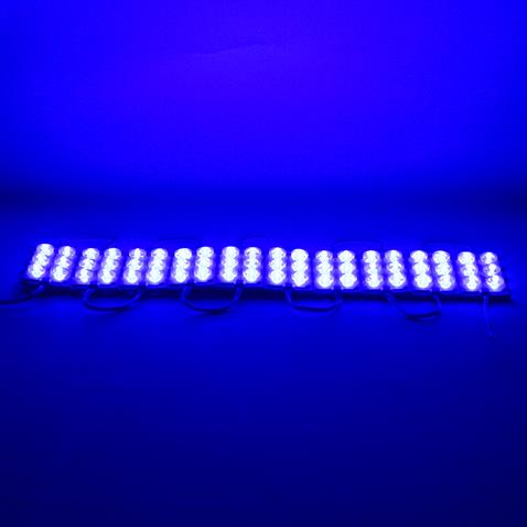 24V MODUL LAMBA 6-LEDLİ (CAMLI) MAVİ (75*40 MM)