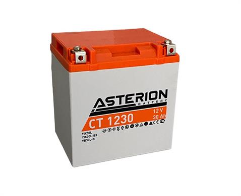 ASTERION 12V 30 AH MOTOSİKLET AKÜSÜ AGM SARI (168*126*175 MM) (YIX30L-BS)