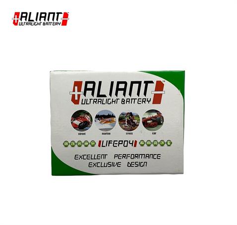 12V 14 AH MOTOSİKLET AKÜSÜ (LIFEPO4 LITHIUM IRON BATTERY) 490 A (EN) (115*70*100) (760 GR) ITALY