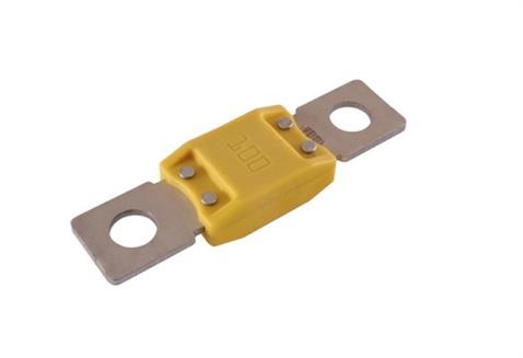 MTA MEGAVAL SİGORTA SARI 100 A (19*69 MM)