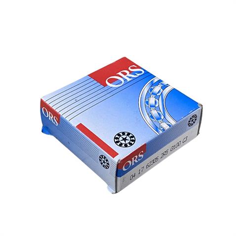 ORS 6305 2RS RULMAN