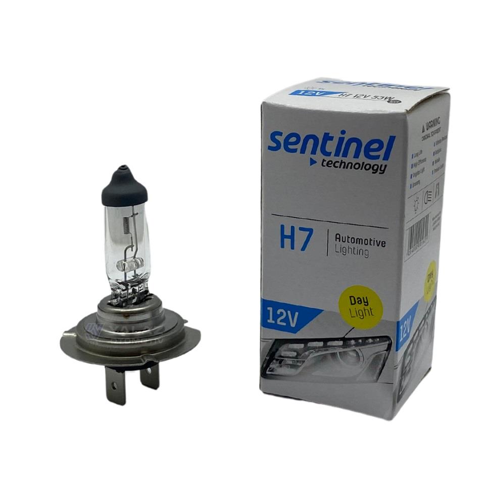 12V H7 AMPUL 55W STANDART 