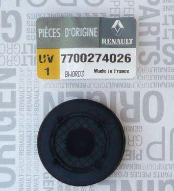 EKSANTRİK-SİLİNDİR KAPAK TAPASI (KÜÇÜK) DACIA DUSTER/LOGAN/SANDERO-RENULT CLIO/KANGO/LAGUNA/MEGANE