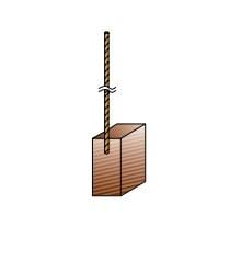 12V-24V KALORİFER-KLİMA-FAN-SİLECEK KÖMÜRÜ (3 AD)