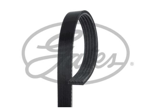 GATES V KAYIŞI 5 PK 1030