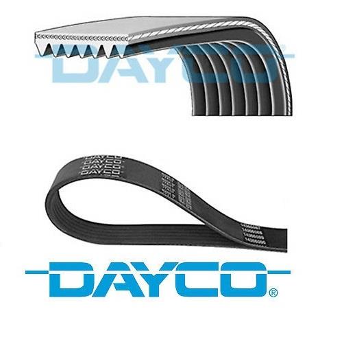DAYCO V KAYIŞI 6 PK 1200