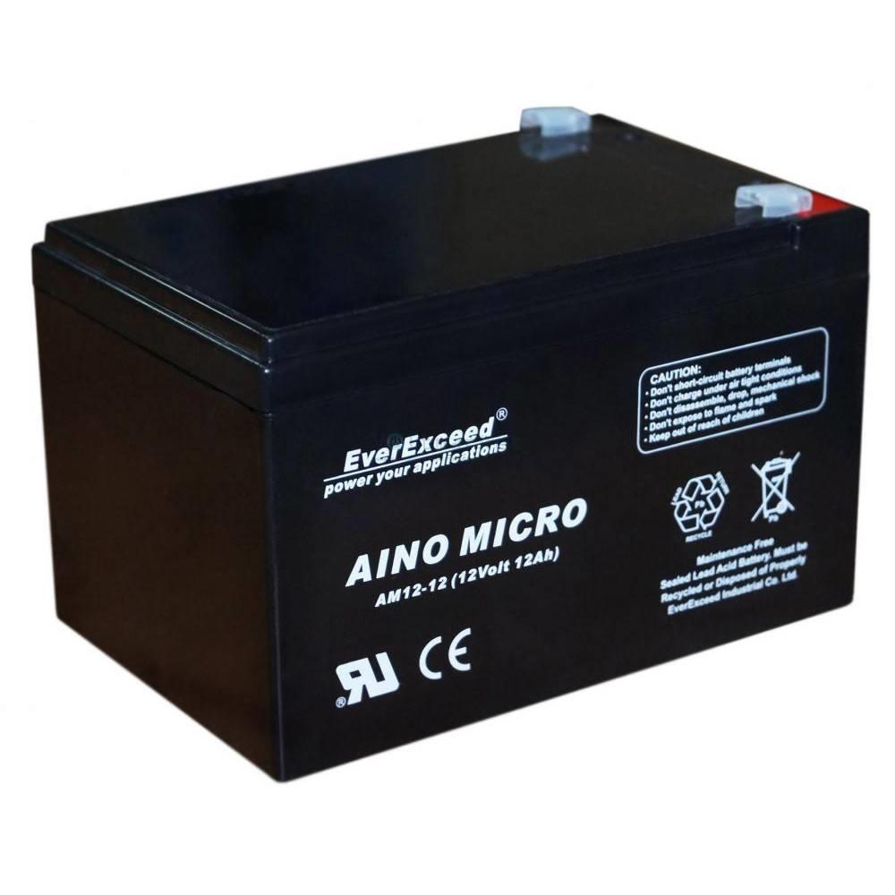 EVEREXCEED 12V 12 AH AKÜ KURU TİP (150*97*95)
