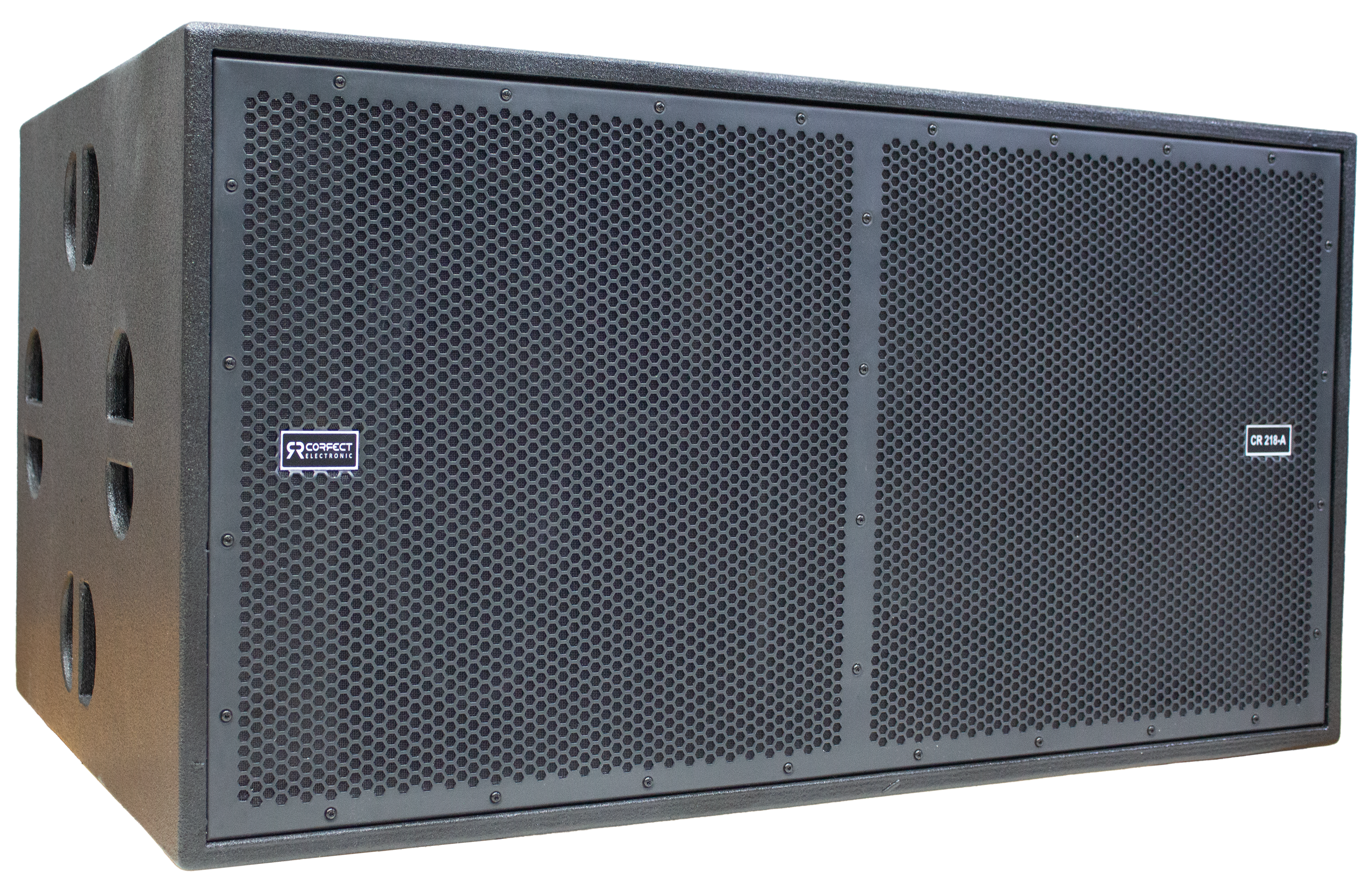 CORRECT ELECTRONIC CR 218-A Active Subwoofer