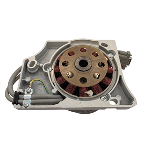 Pegasus Overlok M700 Seri Kafadan Motor (F3 Tipi) / M700