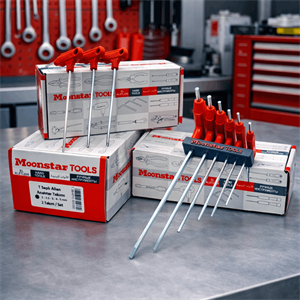 T Saplı İki Uçlu Alyan(Allen) Anahtar Takımı 5 Parça 