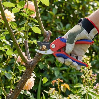 WORKPRO WP332001 180mm Profesyonel Bağ Bahçe Dal Budama Makası
