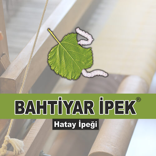 Bahtiyar İpek