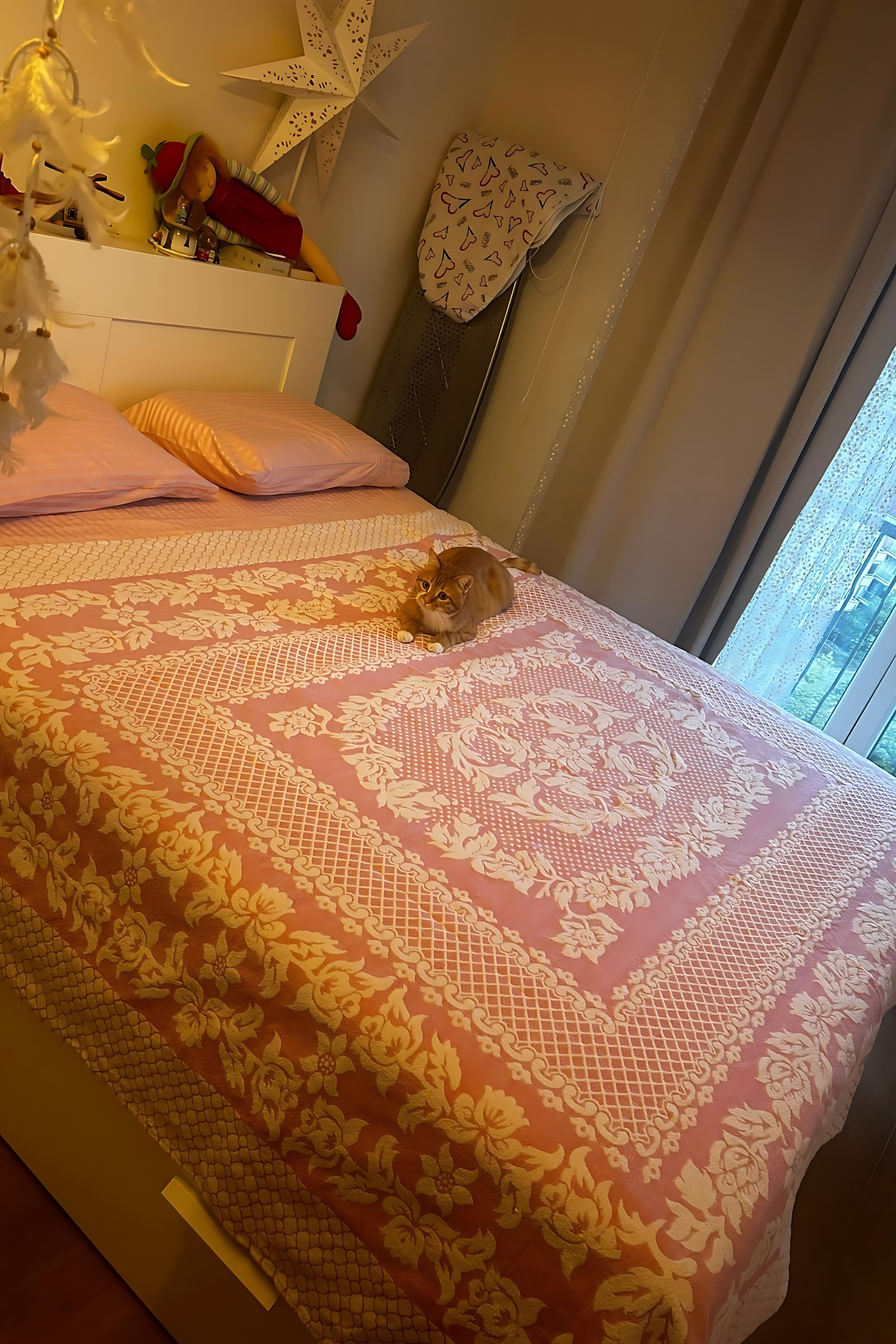 Pembe Pamuk Pike  Bahtiyar İpek Pike