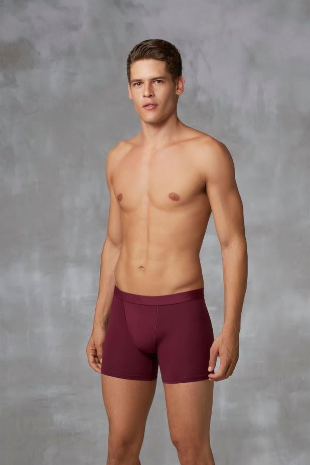 Doreanse 1742 Antrasit-Lacivert-Bordo Erkek Pamuklu Çok Renkli 3'lü Boxer