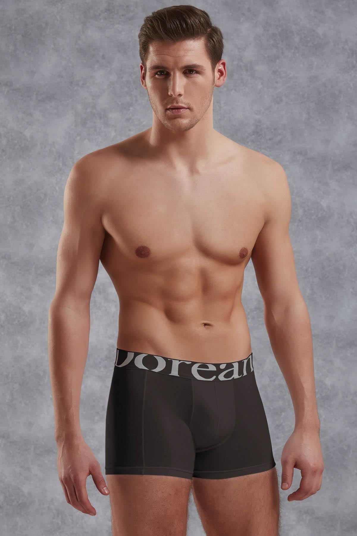 Doreanse 1777 Füme Erkek Modal Torbalı Normal Paça Boxer