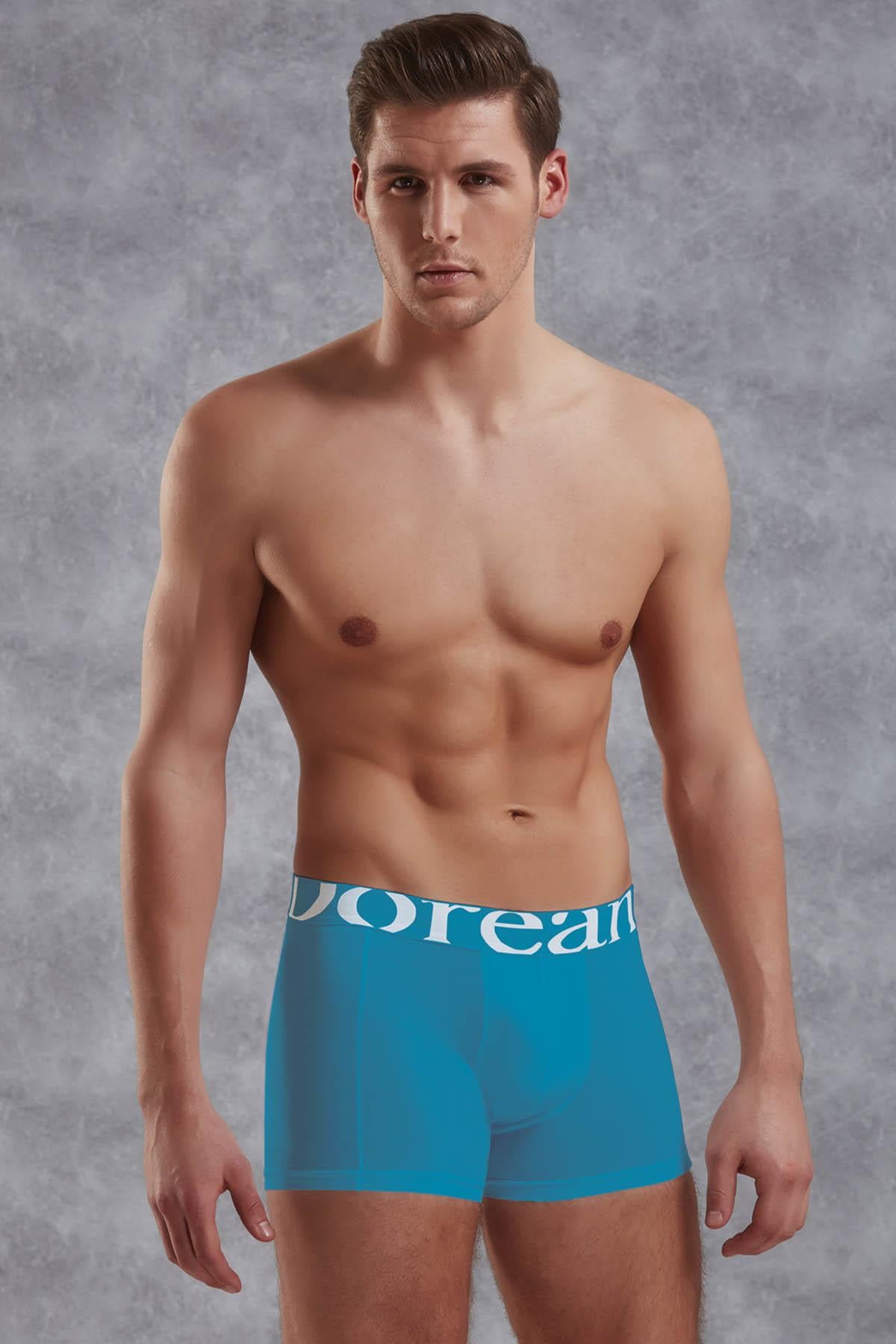 Doreanse 1777 Turkuaz Erkek Modal Torbalı Normal Paça Boxer
