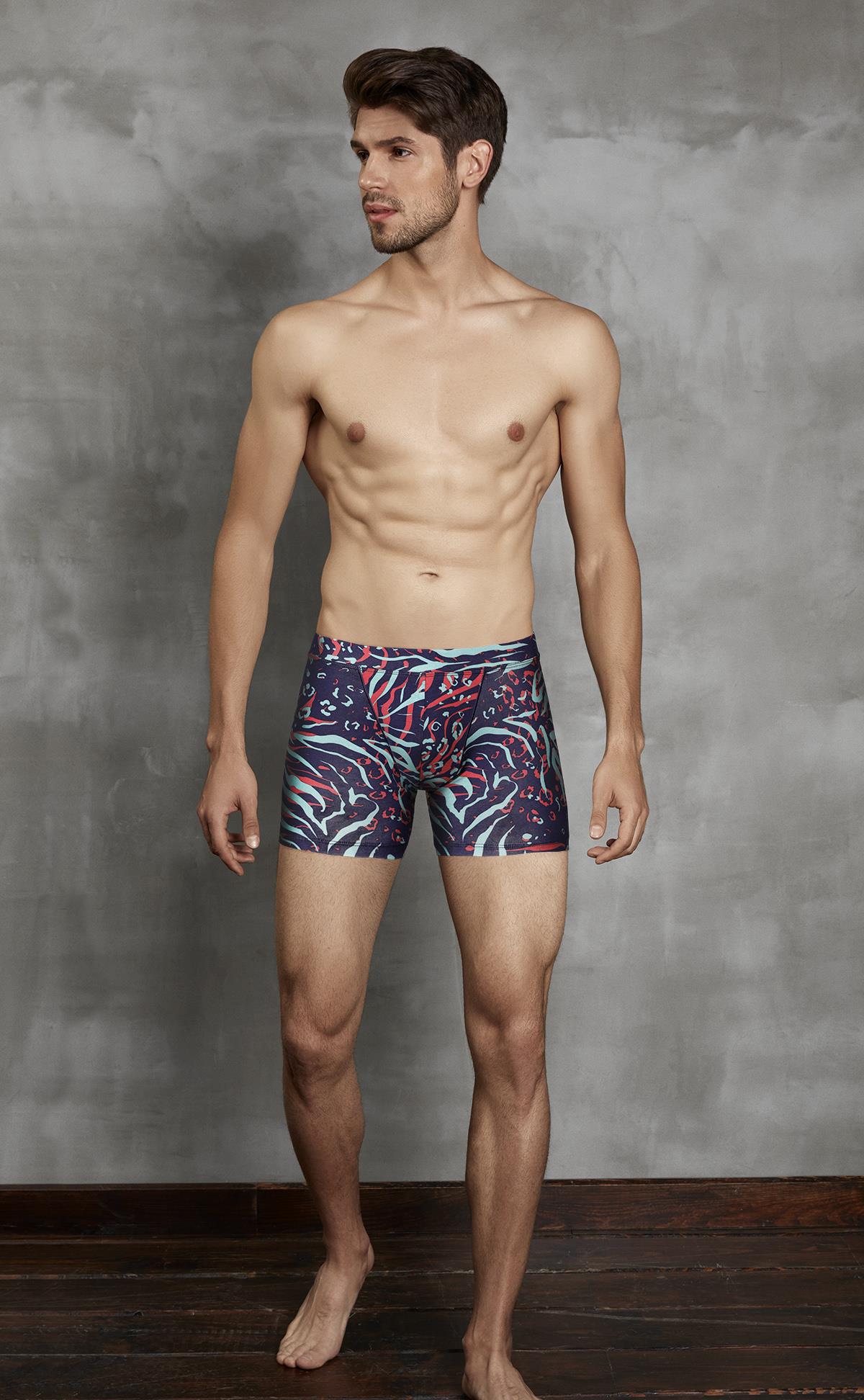 Doreanse 1872 Leozebra Erkek Baskılı Boxer