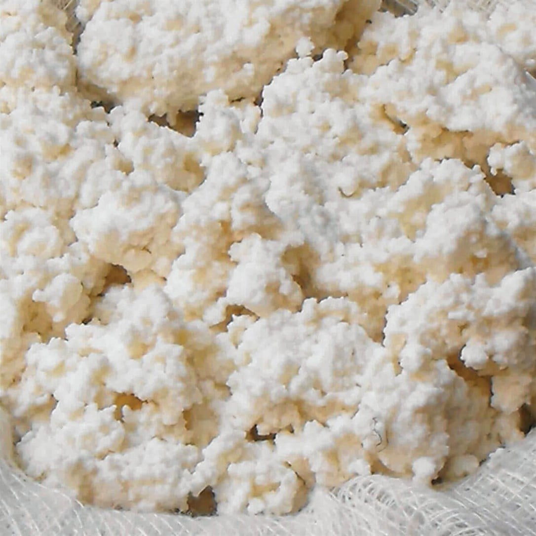 Peypa Gourmet Kaşar Loru 450-500 Gr