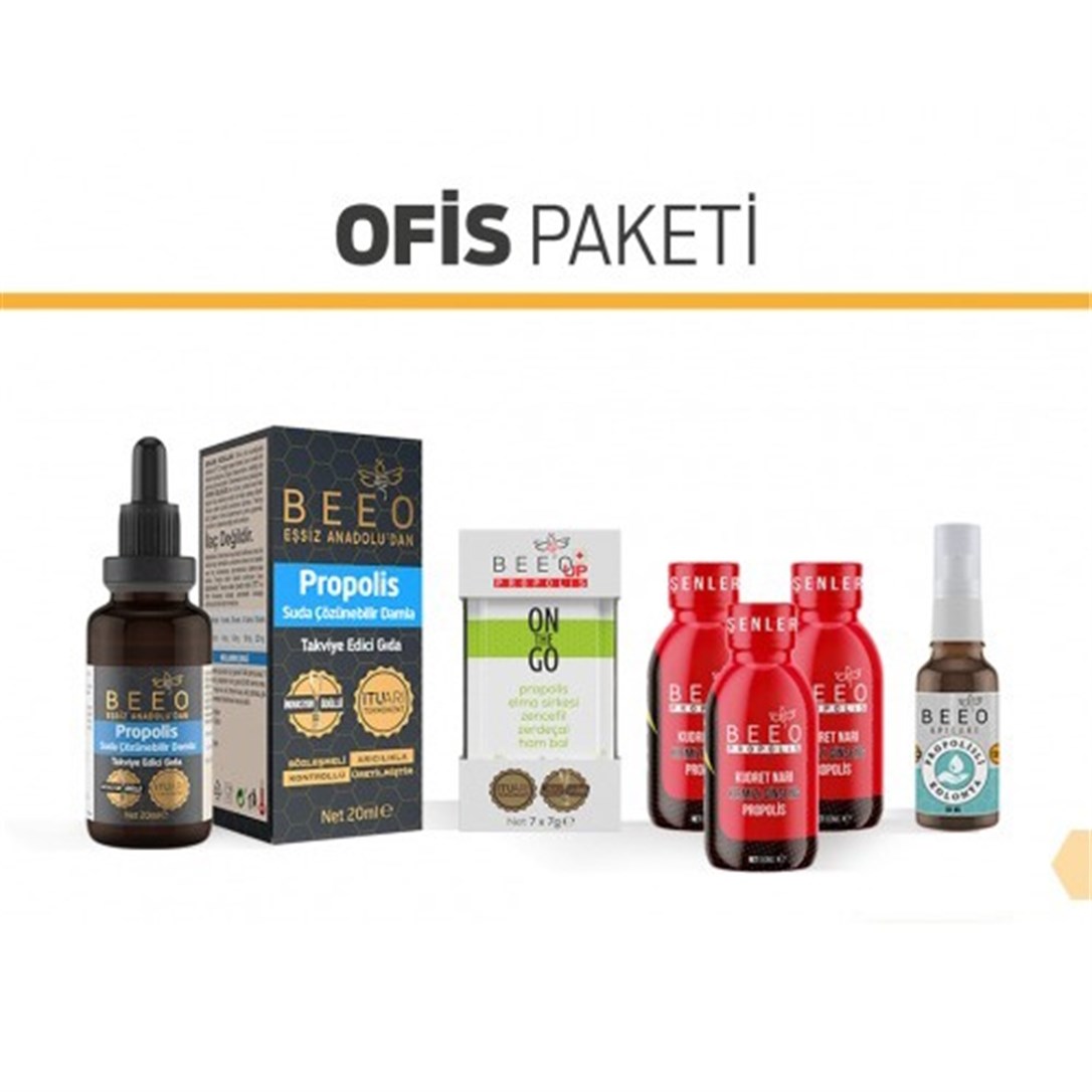 Ofis Kiti