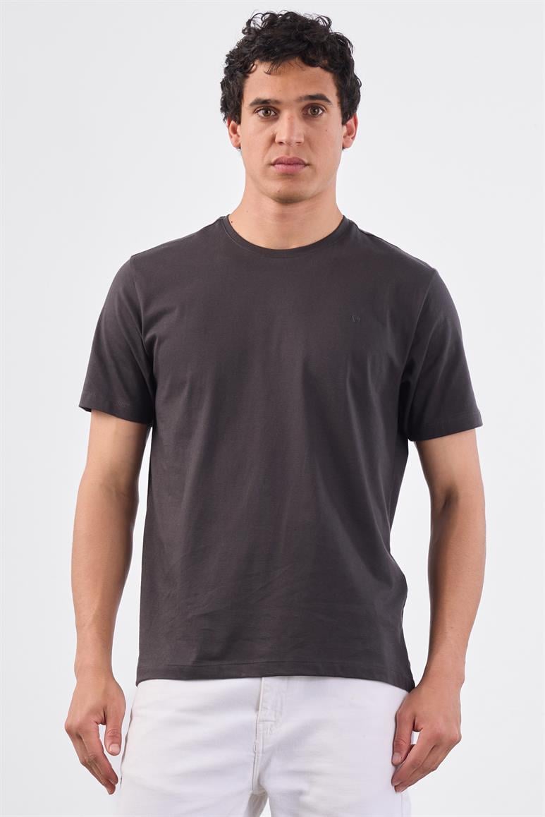 Antrasit Bisiklet Yaka Pamuklu Düz Renk Slim Fit Erkek T-shirt