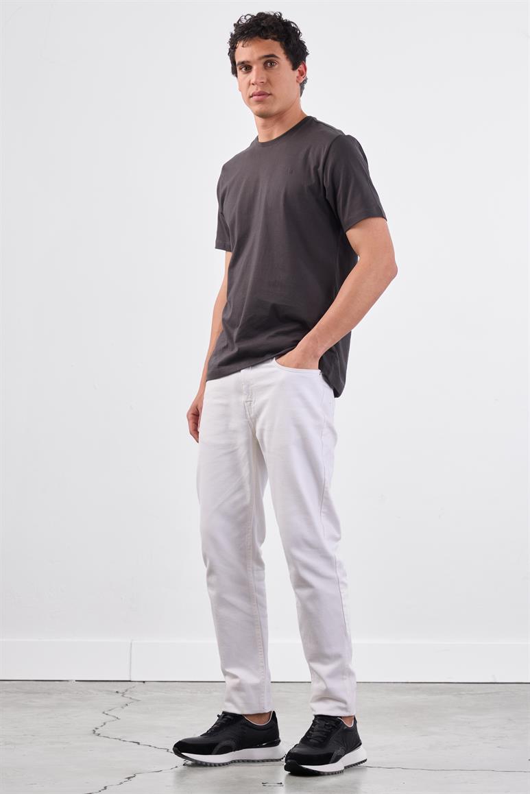 Antrasit Bisiklet Yaka Pamuklu Düz Renk Slim Fit Erkek T-shirt