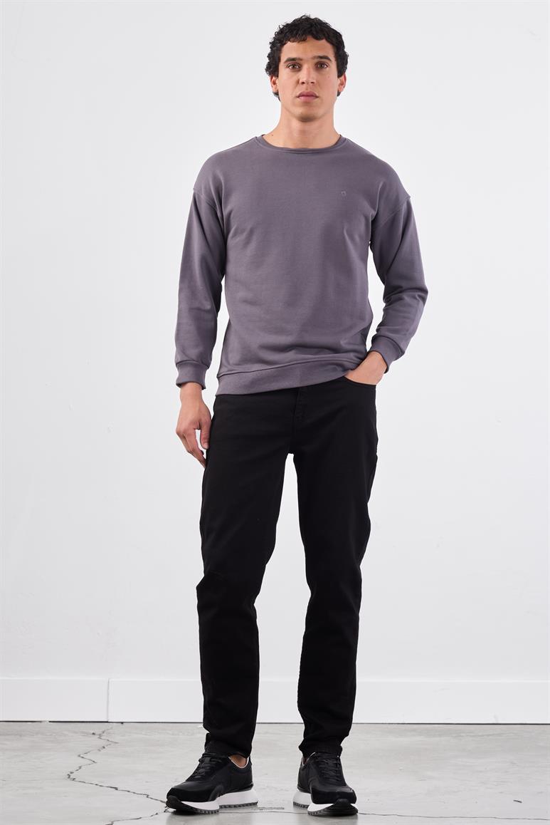 Antrasit Bisiklet Yaka Regular Fit Erkek Sweatshirt