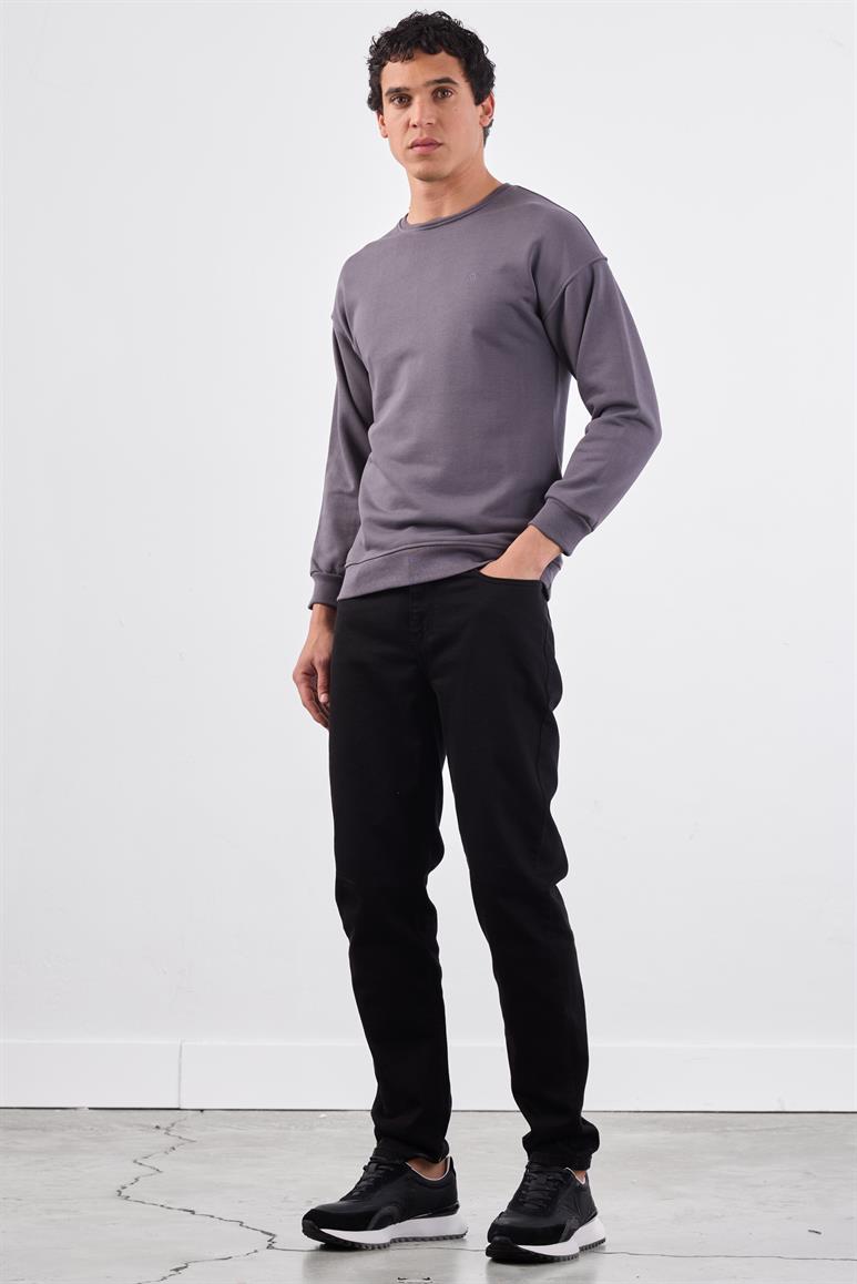 Antrasit Bisiklet Yaka Regular Fit Erkek Sweatshirt