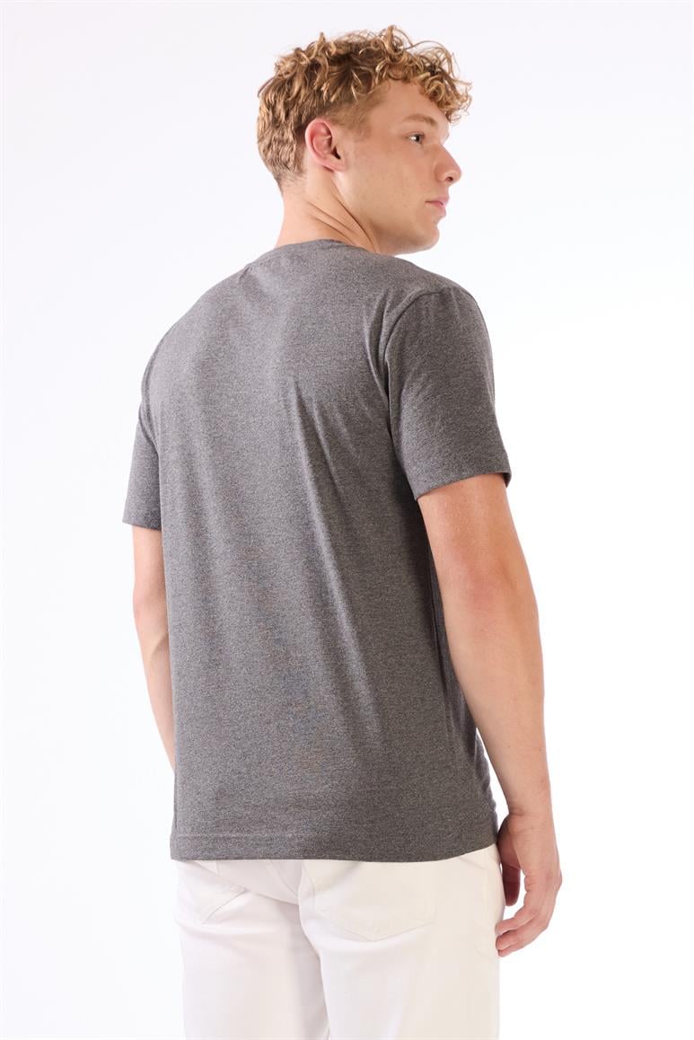 Antrasit Melanj Erkek Regular Fit Baskılı Casual O Yaka T-shirt 