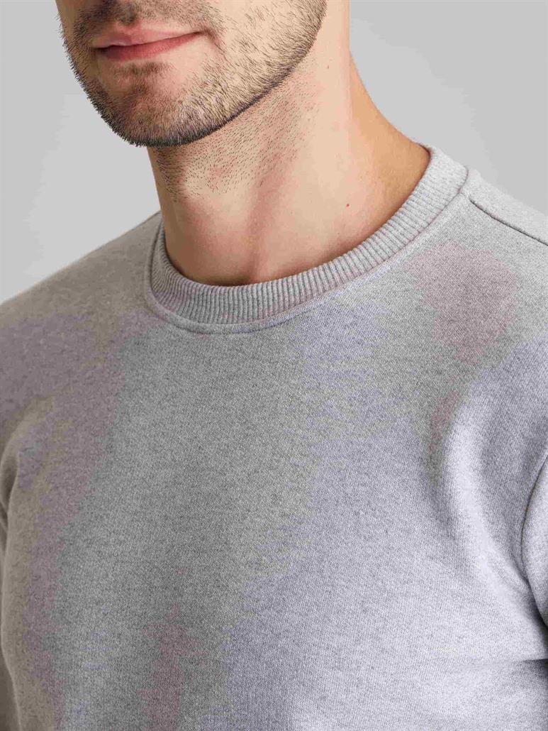 Açık Gri Erkek Regular Fit Düz Casual Yuvarlak Yaka Sweatshirt 
