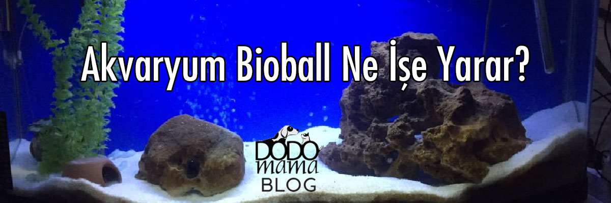 Akvaryum Bioball Ne İşe Yarar?