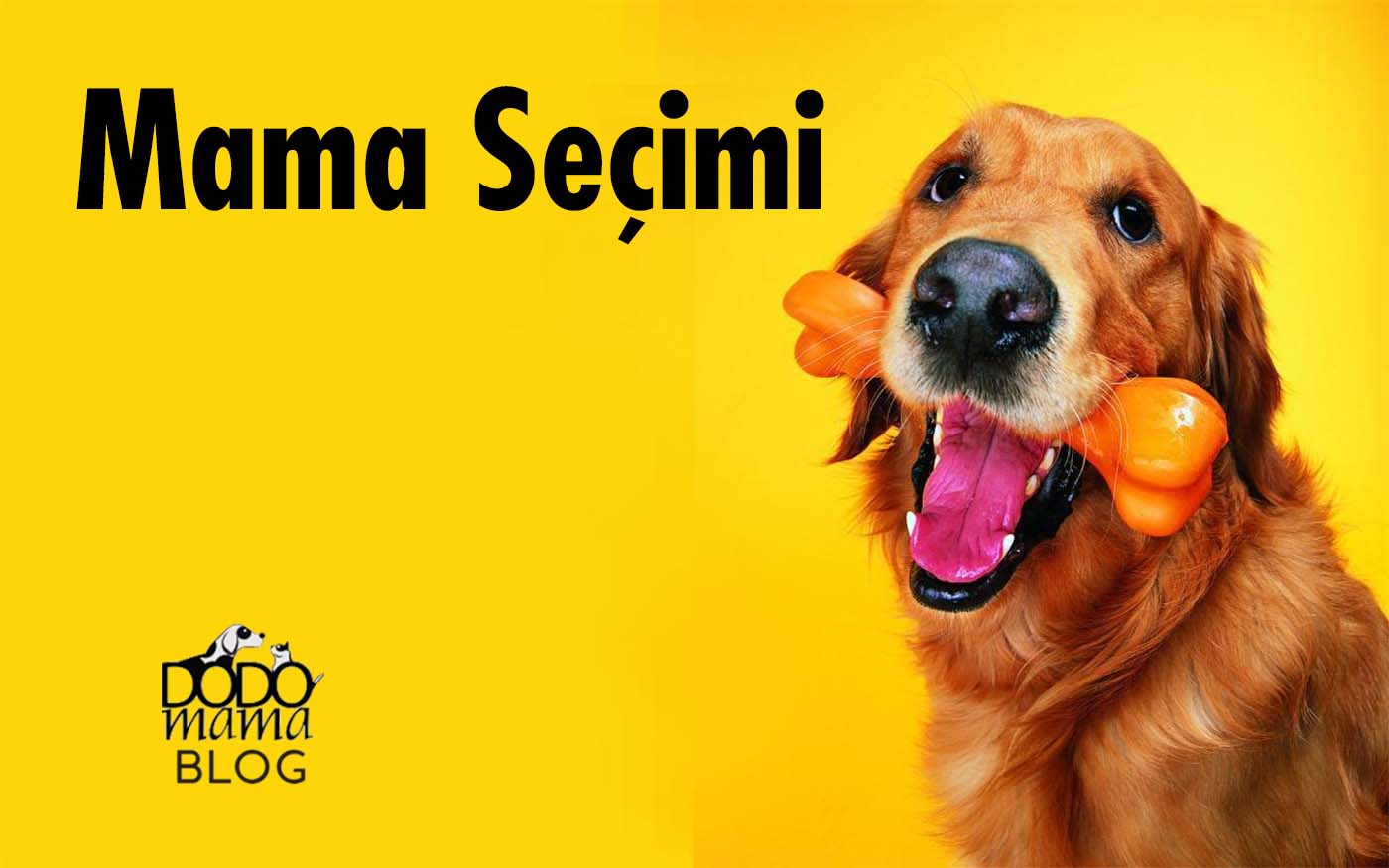 Hangi Köpek Maması Nasıldır ?