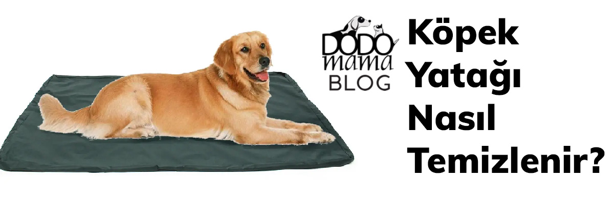 Köpek yatağı nasıl temizlenir?