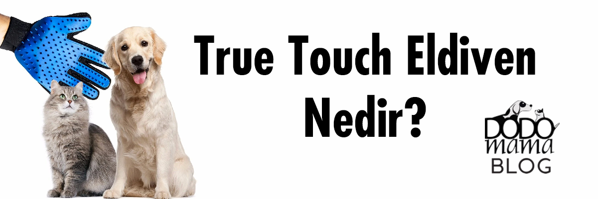 True Touch Eldiven Nedir?