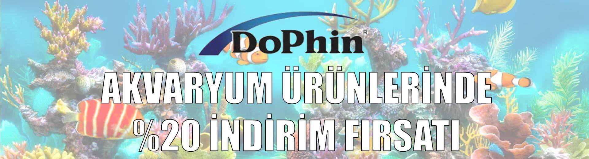 Dophin