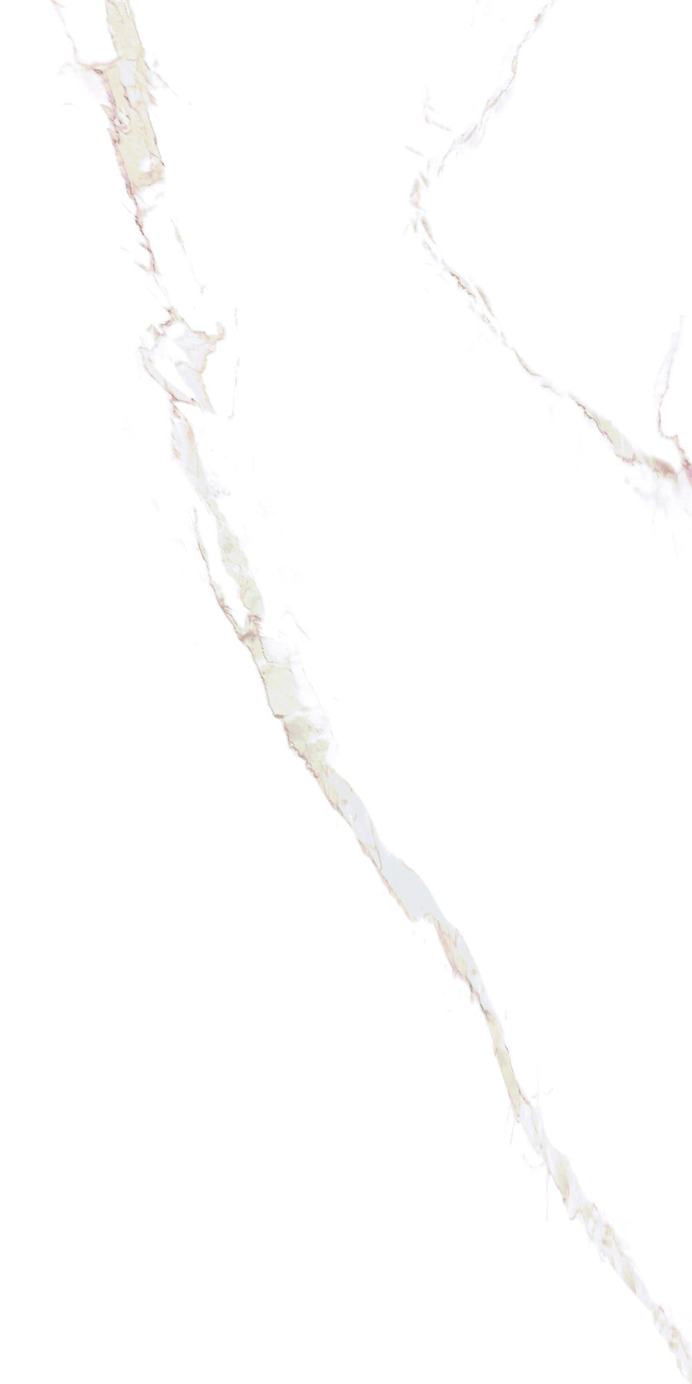 MPB-R257 STATUARIO PARLAK  60x120
