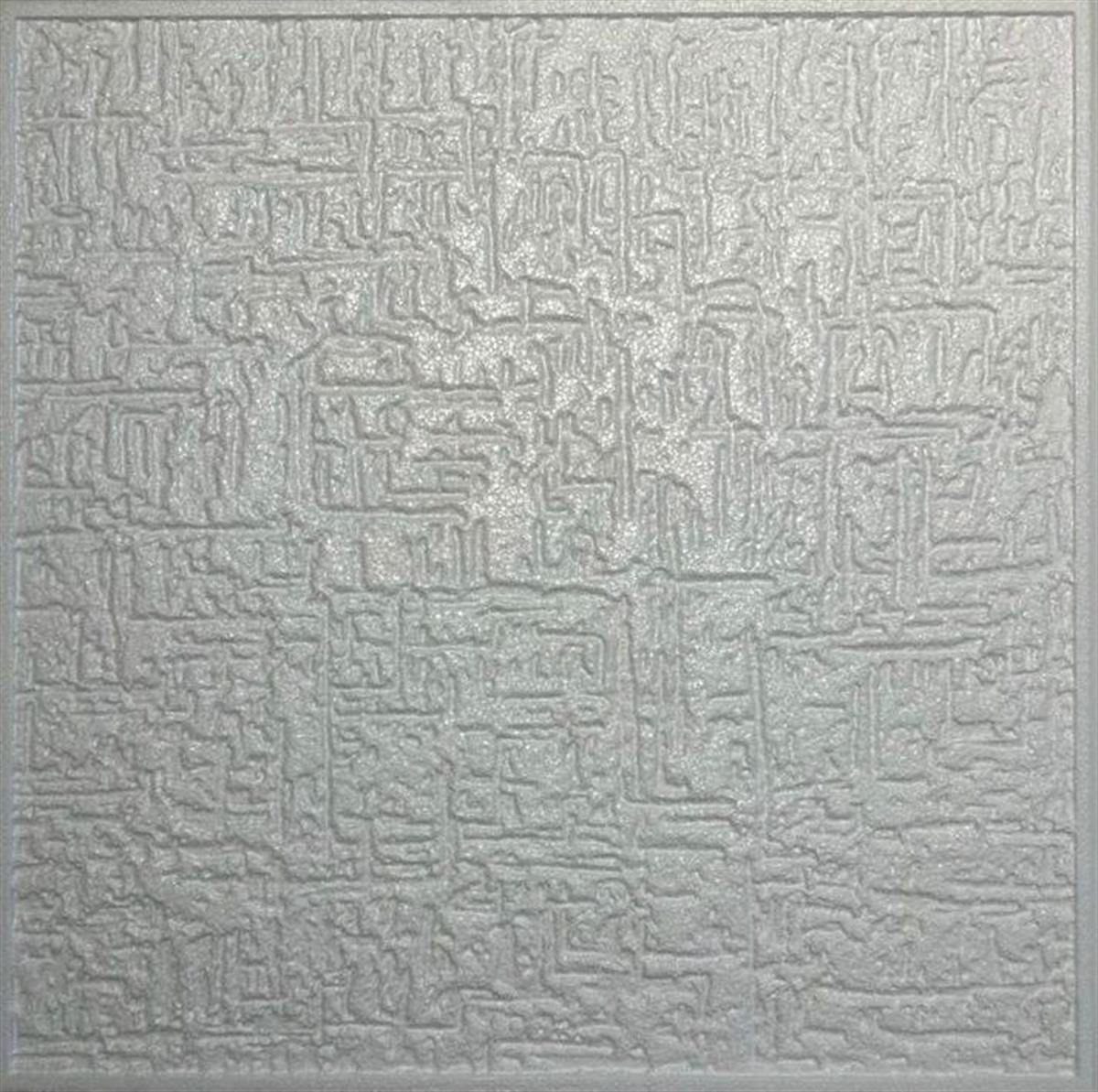 TAVAN KAPLAMASI 1001 (MERKÜR) 50X50