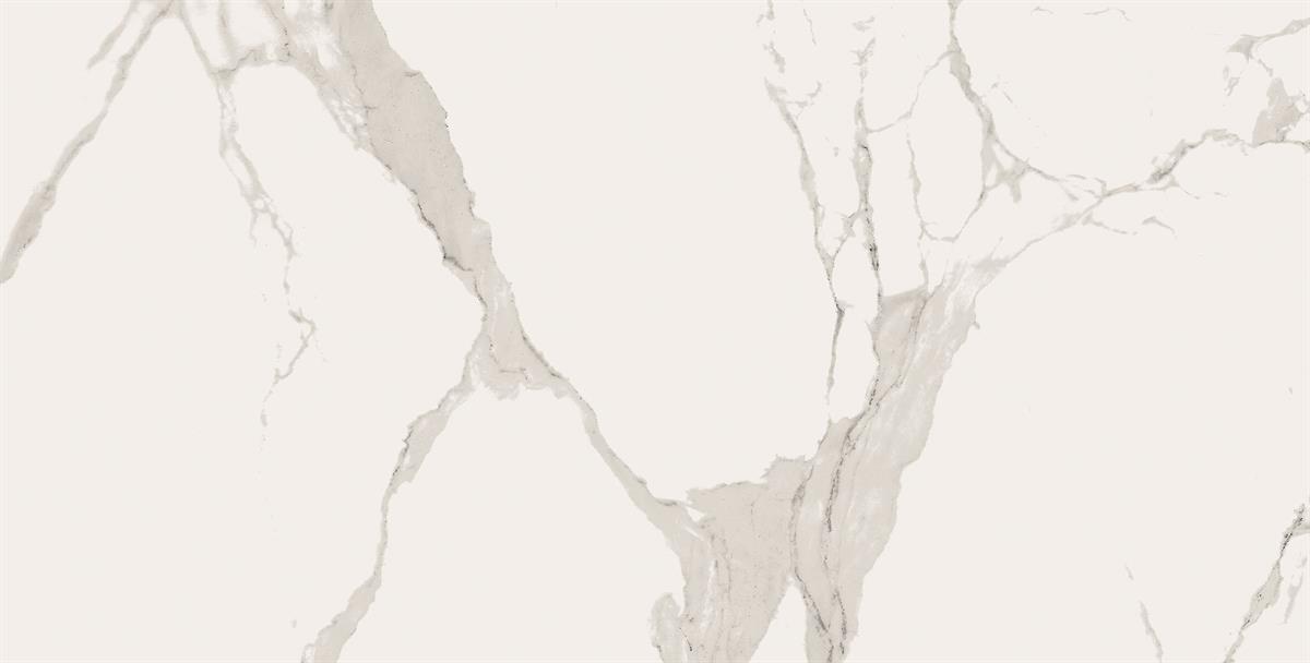 60X120 STATU BEYAZ R-PN (2,16/60,48 )