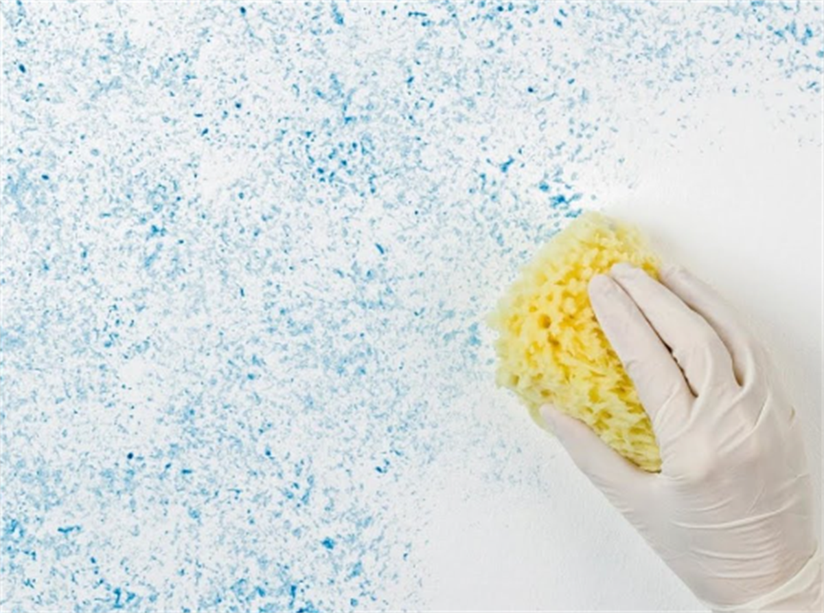 PAINT DENİZ SÜNGERİ