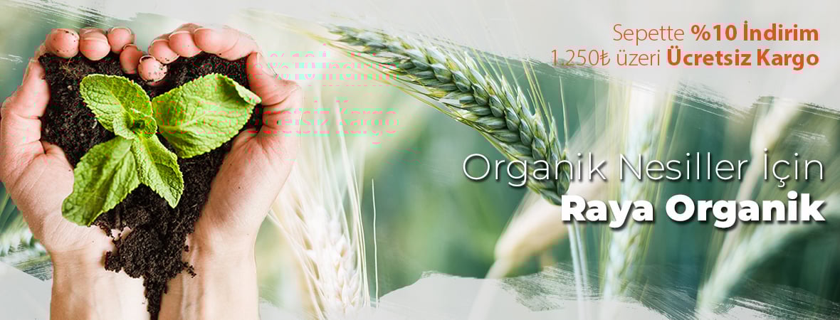 Organik Evrim
