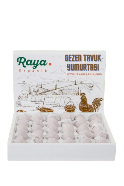 Gezen Tavuk Yumurtası 30'lu