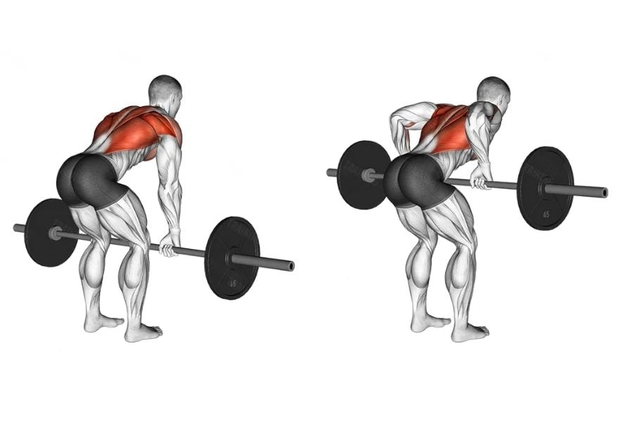 2. Barbell Bent-Over Row: Orta ve Alt Sırtın Gücü