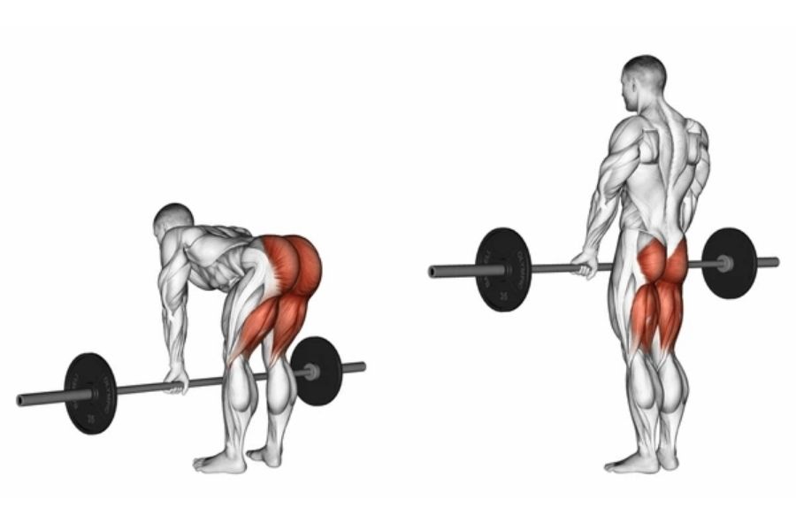 4. Deadlift: Tüm Vücudu Güçlendiren Hareket