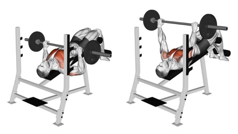 Decline Bench Press